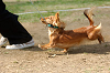 picnic_land_A-0520_thumb.png