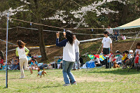 picnic_land_A-0521.jpg