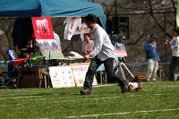 picnic_land_A-0523.jpg