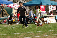 picnic_land_A-0524.jpg