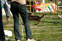 picnic_land_A-0526.jpg