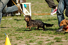 picnic_land_A-0527_thumb.png