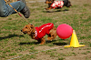 picnic_land_A-0529_thumb.png
