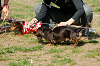 picnic_land_A-0532_thumb.png