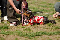 picnic_land_A-0533.jpg