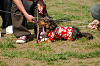 picnic_land_A-0533_thumb.png