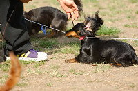 picnic_land_A-0536.jpg