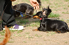 picnic_land_A-0536_thumb.png