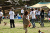 picnic_land_A-0537_thumb.png