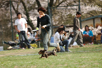 picnic_land_A-0541.jpg