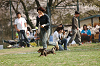 picnic_land_A-0541_thumb.png