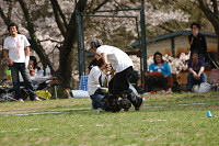 picnic_land_A-0542.jpg