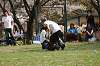 picnic_land_A-0542_thumb.png