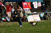picnic_land_A-0544_thumb.png