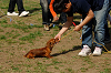 picnic_land_A-0550_thumb.png