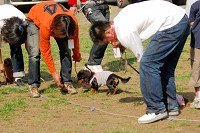 picnic_land_A-0551.jpg
