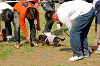 picnic_land_A-0551_thumb.png