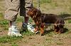 picnic_land_A-0553_thumb.png