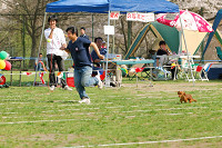picnic_land_A-0554.jpg