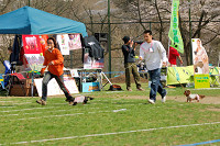 picnic_land_A-0555.jpg