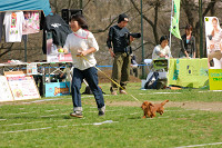 picnic_land_A-0557.jpg