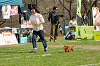 picnic_land_A-0557_thumb.png