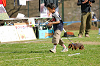 picnic_land_A-0558_thumb.png