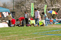 picnic_land_A-0559.jpg