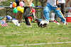 picnic_land_A-0561_thumb.png