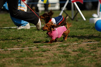 picnic_land_A-0563.jpg