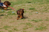 picnic_land_A-0570.jpg