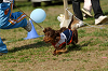 picnic_land_A-0571_thumb.png