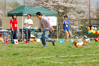 picnic_land_A-0572.jpg