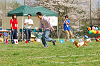 picnic_land_A-0572_thumb.png