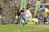 picnic_land_A-0573_thumb.png