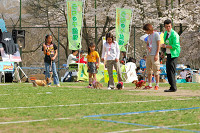 picnic_land_A-0576.jpg