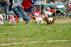 picnic_land_A-0578_thumb.png