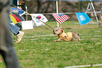 picnic_land_A-0579.jpg