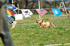 picnic_land_A-0579_thumb.png