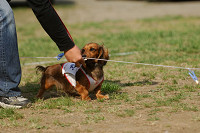picnic_land_A-0584.jpg