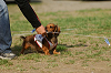 picnic_land_A-0584_thumb.png