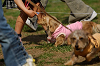 picnic_land_A-0585_thumb.png
