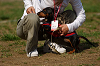 picnic_land_A-0589_thumb.png