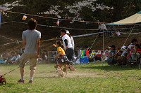 picnic_land_A-0591.jpg