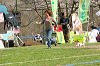 picnic_land_A-0595_thumb.png