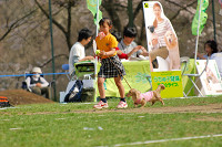 picnic_land_A-0596.jpg