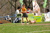 picnic_land_A-0596_thumb.png