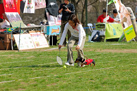 picnic_land_A-0597.jpg
