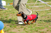 picnic_land_A-0599_thumb.png