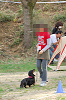 picnic_land_A-0604_thumb.png